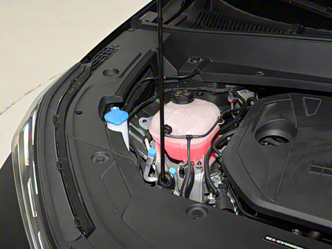 2025�� 120km �캽��