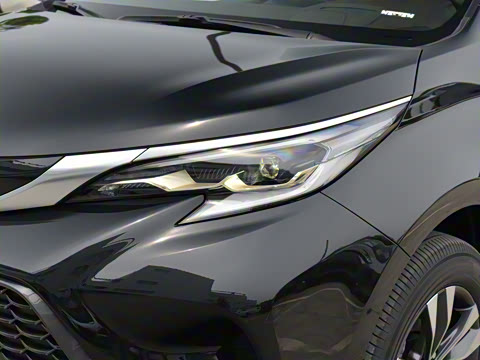 2024�� 2.5L�춯 ���PLUS������