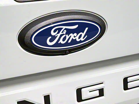 2025�� ɳ���ر�� ����