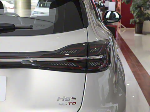 2025�� 2.0T ��������Pro��