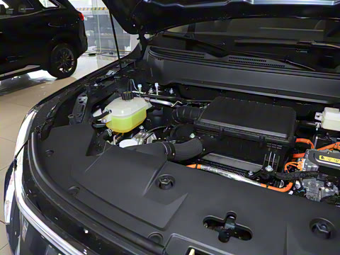 2025�� 165km ���������ж��ư� 5��