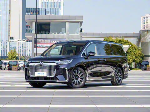 2025�� EV �������Ǭ����