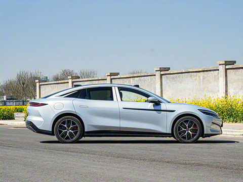 2025�� EV ���������״��콢��