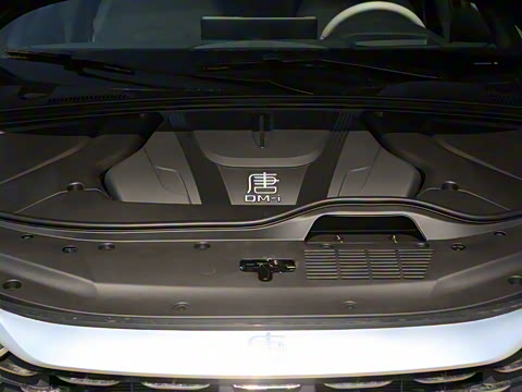 2025�� �Ǽݰ� DM-i 115KM �콢��