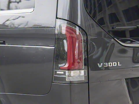 2024�� V 300 L ���������
