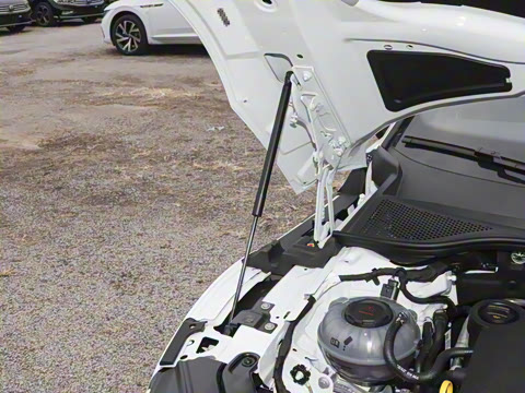 2025�� 330TSI ��Ŀ ������