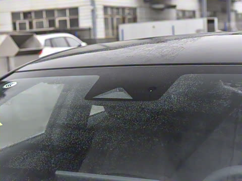 2025�� ��������� 515�����