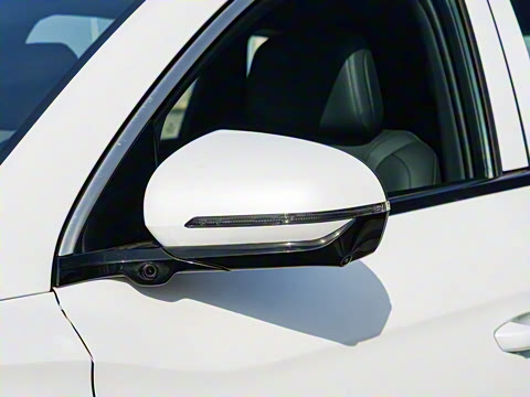 2025�� �ڶ��� �Ǽݰ� DM-i 115KM��Խ��