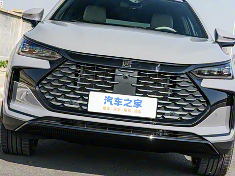 2025�� �Ǽݰ� DM-i 115KM ������