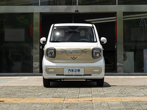 2025�� 222km �鶯��