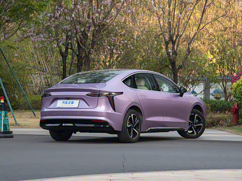 2025�� ���05 ������