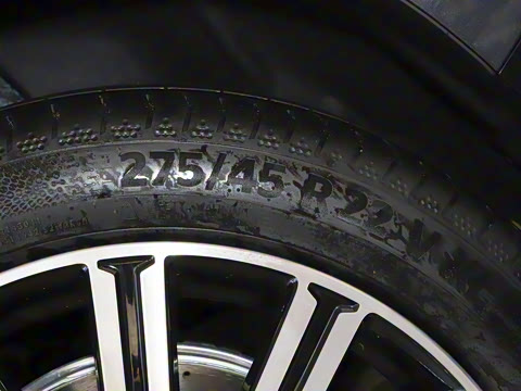 2025�� ������