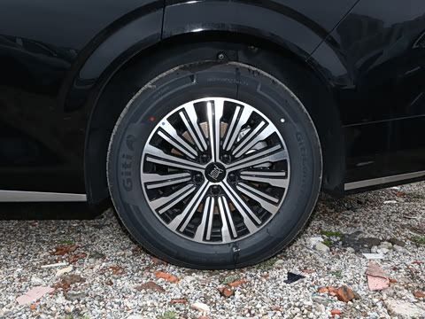 2025�� DM-i 1.5T 100km ������