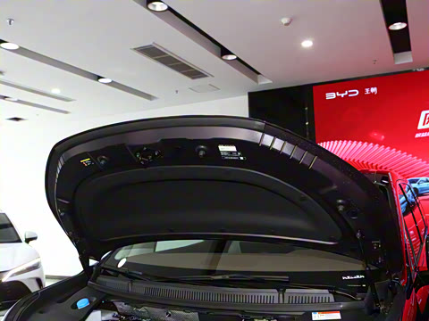 2025�� DM-i 1.5T 180km ��Խ��