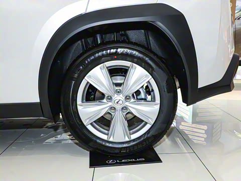 2024�� 300h ̽���