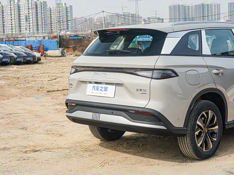 2025�� DM-i �Ǽݰ� 115KM������