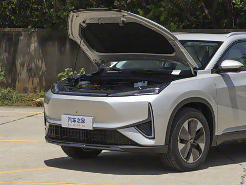 2025�� 205��������������