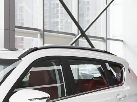 2025�� 1.5T DCT��ԽPRO 5��