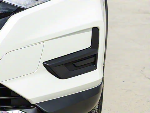 2025�� ���� 2.0L �������Ȱ�