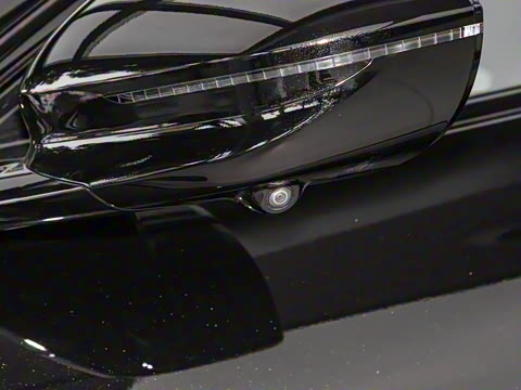 2025�� Max�����