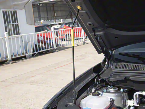 2025�� �ڶ��� �Ǽݰ� DM-i 75KM������