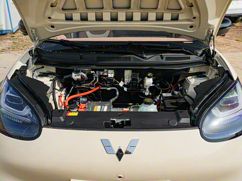 2025�� 333km ��Ϭ������