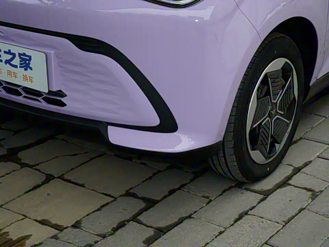 2026�� Mate 305km ����̤�˰�