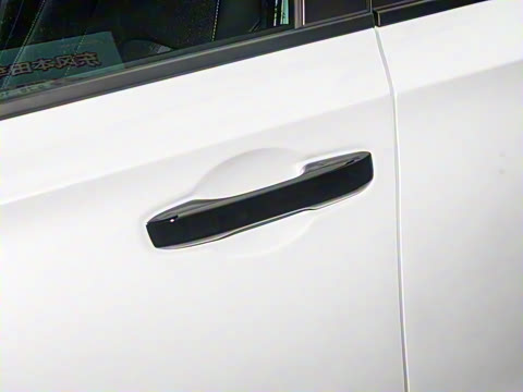 2025�� 2.0L e:HEV �춯Pro