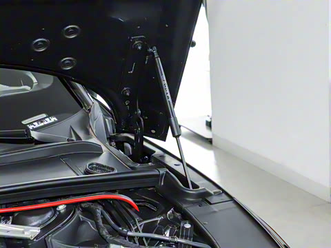 2024�� RS 5 2.9T Sportback ȼ���