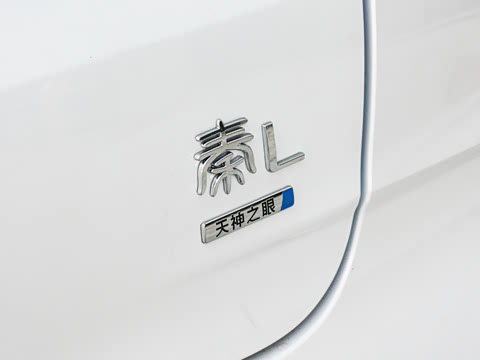 2025�� DM-i �Ǽݰ� 120KM������