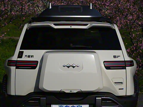 2025�� 501KM �������˻���