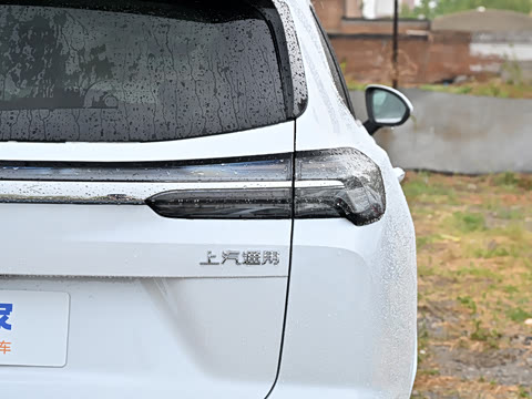 2025�� ������Plus ����Avenir��ά��