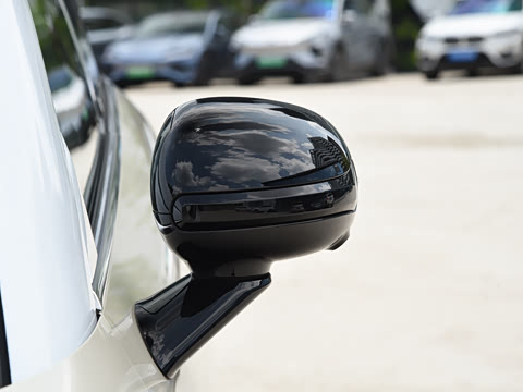 2026�� �鶯��������