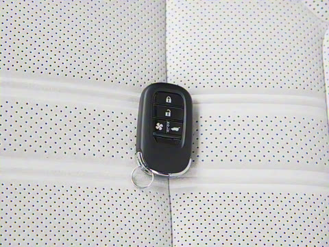 2025�� ����������Max