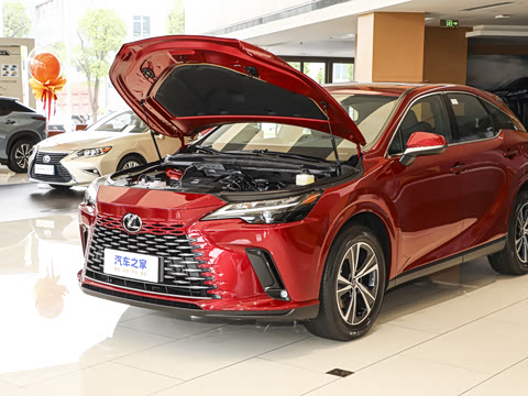 2025�� 300 ����������