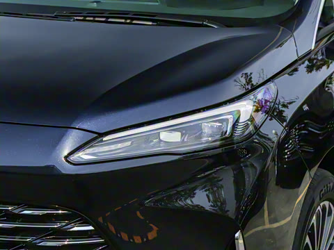 2025�� ½�� ������ 7��