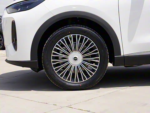 2025�� 120 ���������콢�� 5�� �������