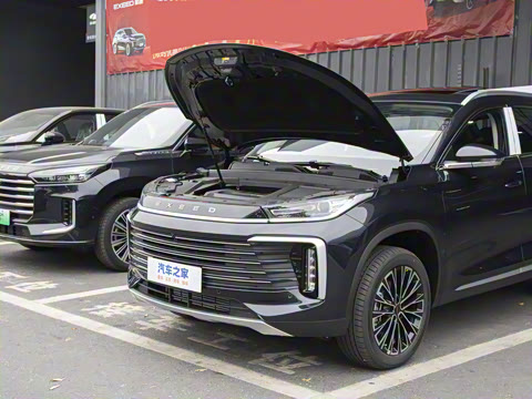 2025�� 300T ������Խ��