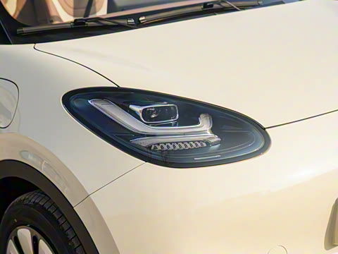 2025�� 333km ��Ϭ������