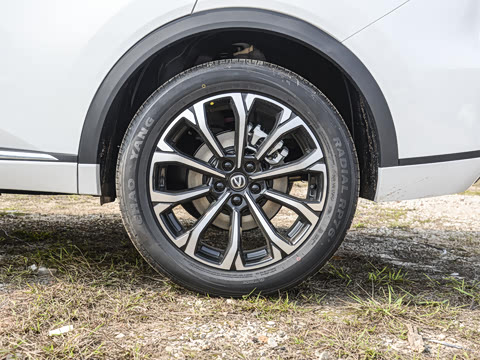 2025�� �ǻ������� 125km ���ܰ�