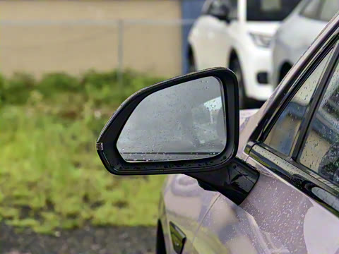 2025�� 650 ������