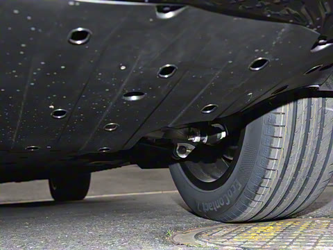 2024�� Max�����