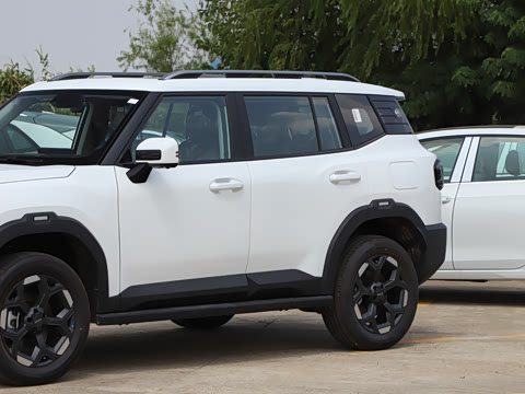 2025�� 2.0TD XWD��Խ