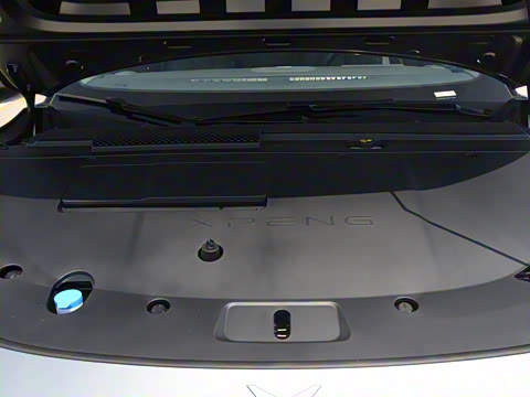 2025�� �������� Max �콢��