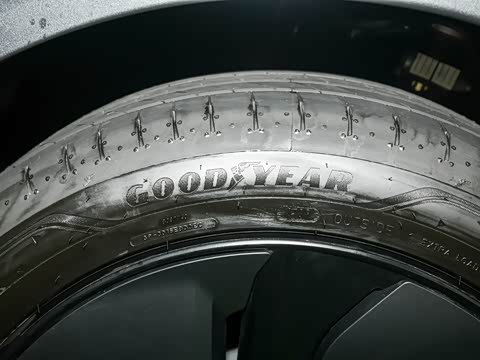 2025�� ����������