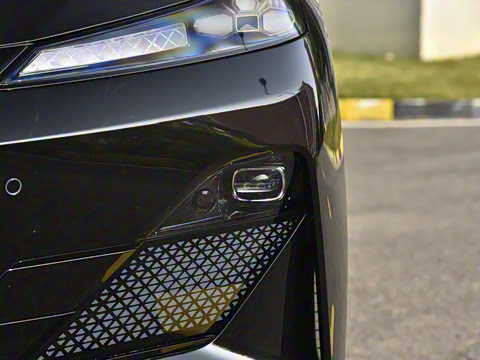 2025�� �����˶���