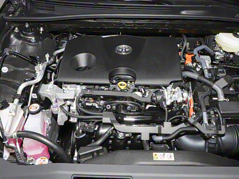 2025�� ˫�� 2.0HG ��԰�