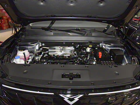 2025�� 1.5T ɽ��� 5��