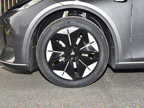 2025�� �����˶���