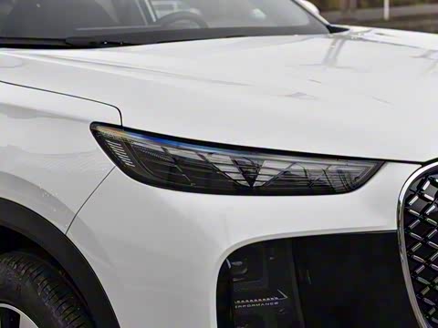 2025�� 290TGDI DCT������ 7��